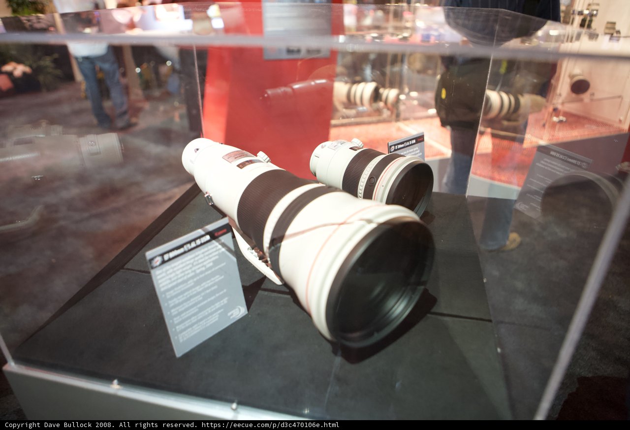 Capturing the Moment with Canon EOS R and Canon EOS RL Lenses