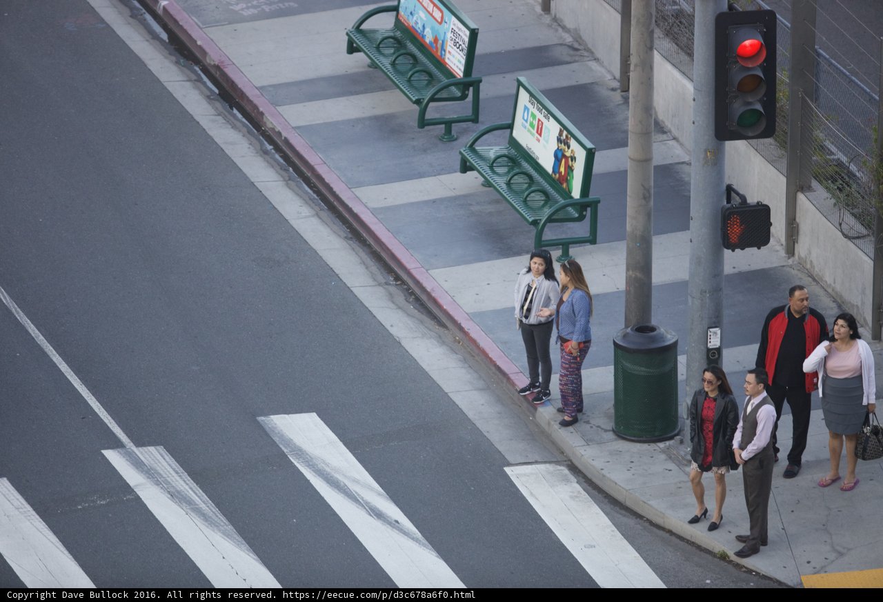 City Streets Come to Life