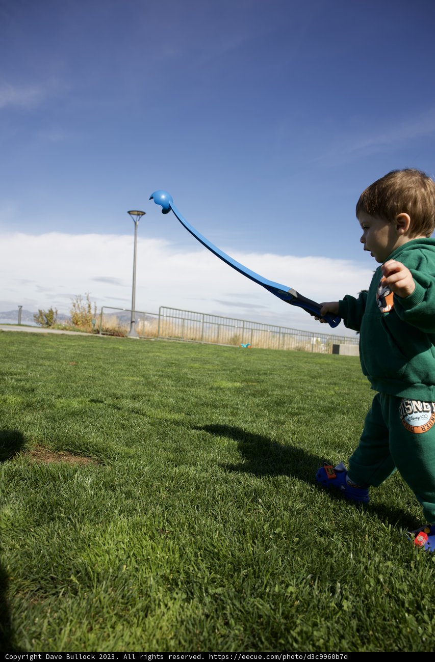 Days of Wonder: Young Wesley's Kite Adventure