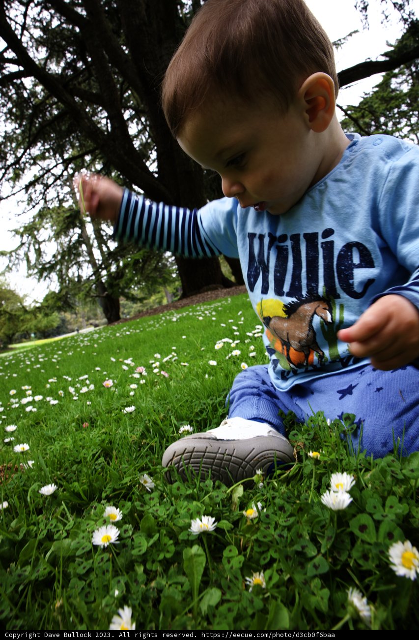 A Fun Day at San Francisco Botanical Garden