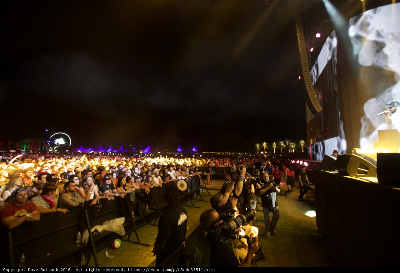 Concert Bliss