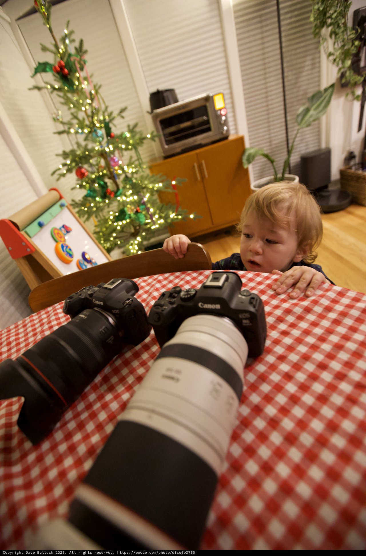 Young Child Discovers Photography Gear at Christmas