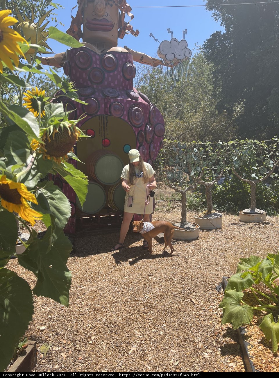 Garden Affair