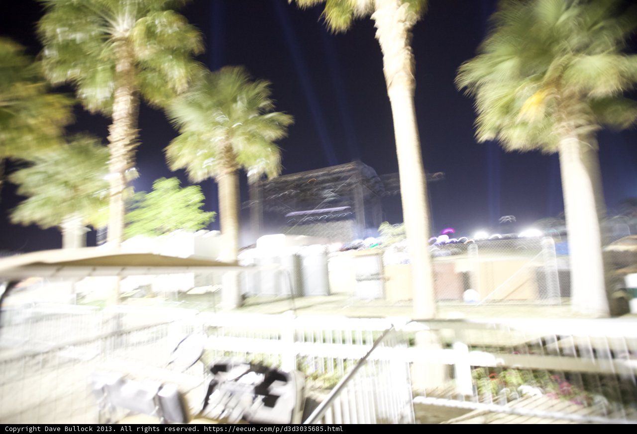 Summer Nights Amongst the Palms