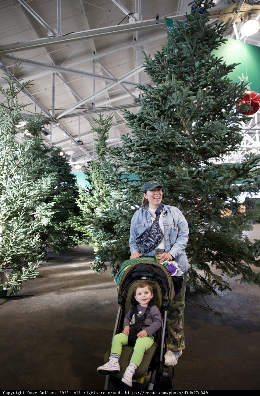 Season of Joy: Celebrating Christmas at Fort Mason 2023