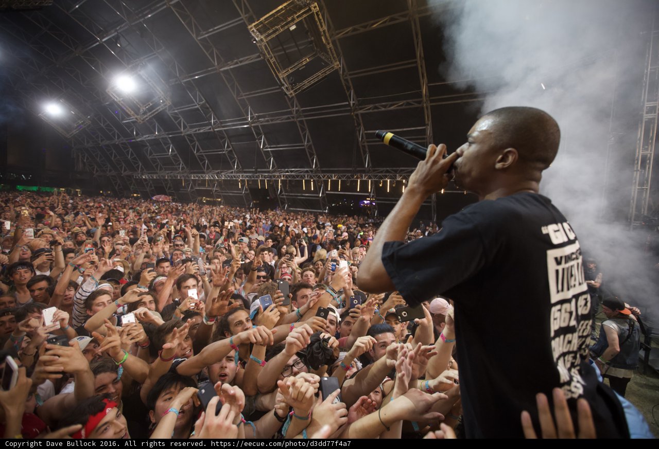 Crowd at Coachella Concert