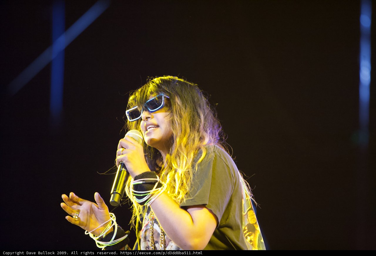 Sunglasses and Mic at Coachella