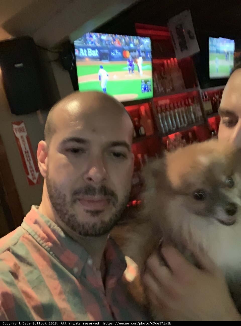 Happy Hour Pups
