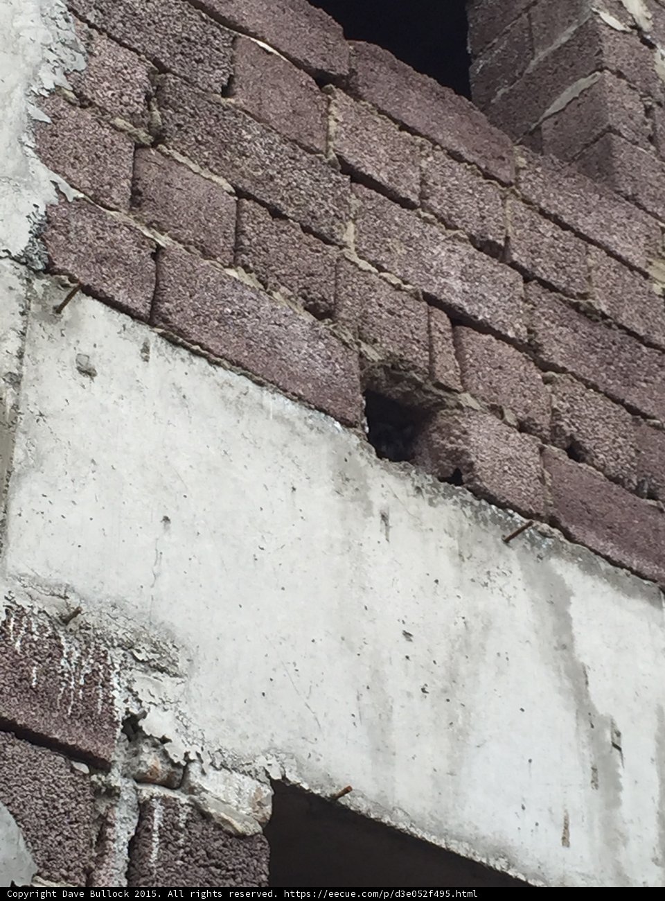 Tbilisi Brick and Concrete Detail