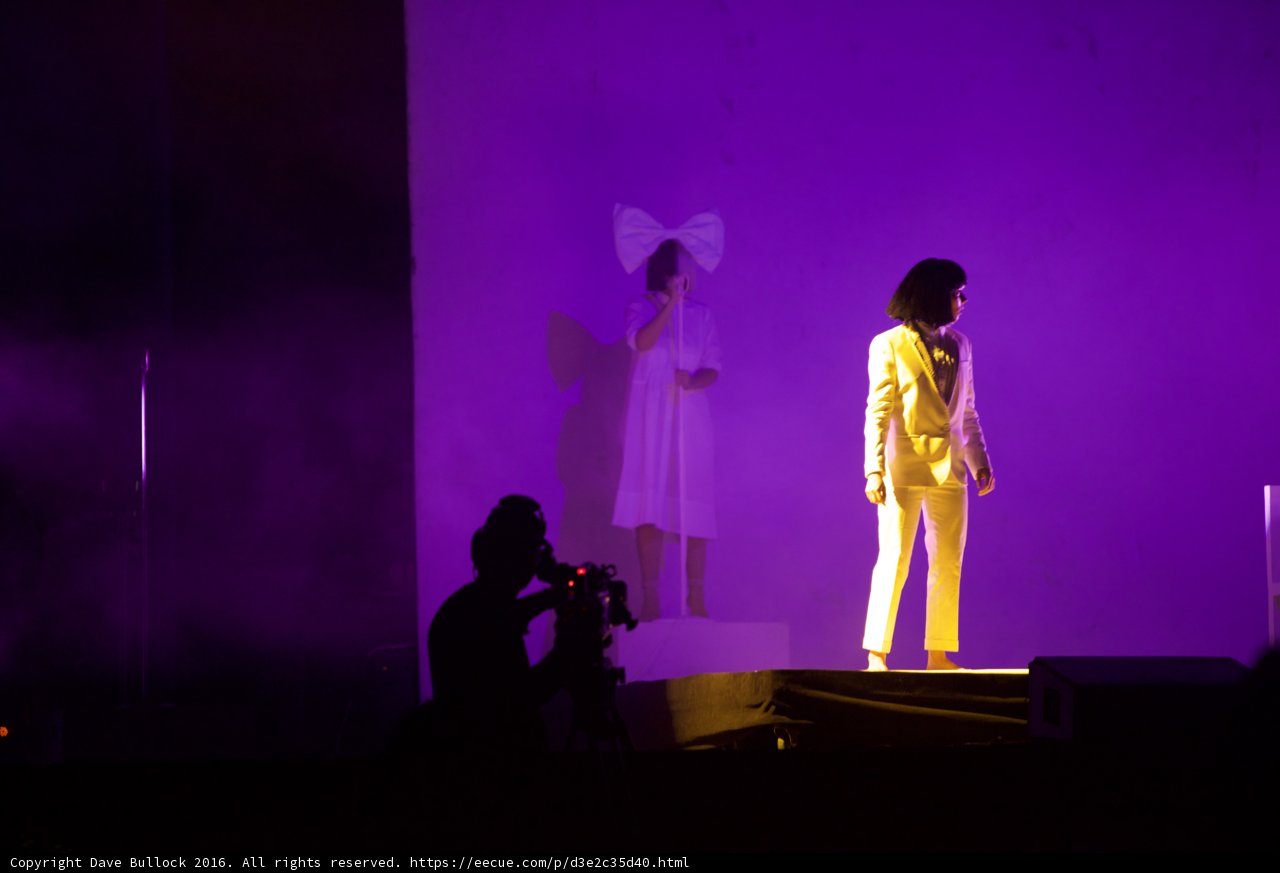 Lady in Yellow Takes the Stage