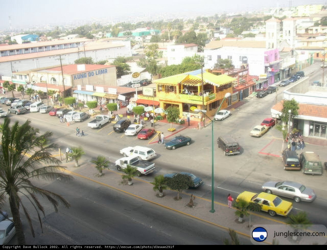 Buzzing Ensenada's Downtown Streets