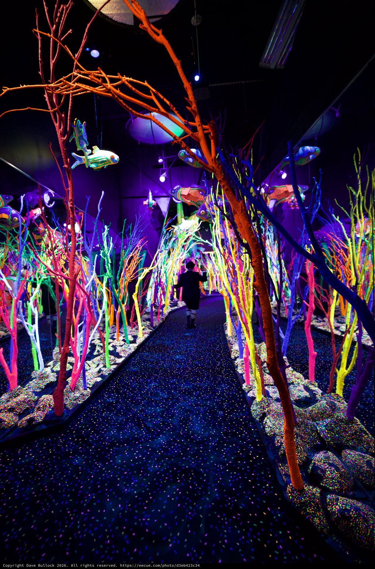 Neon Coral Forest Installation with Suspended Fish Sculptures