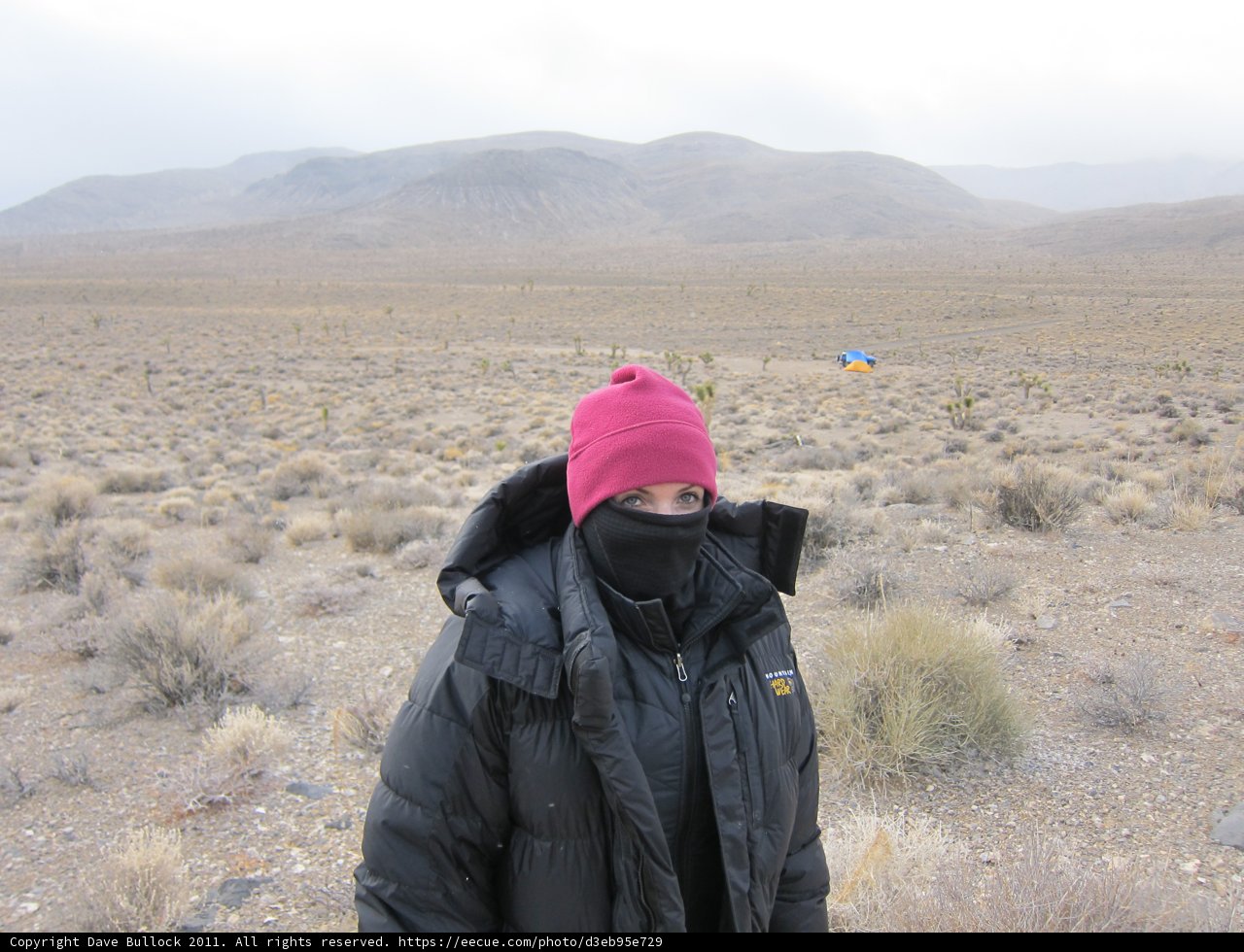 A Lone Wanderer in the Wilderness in 2011