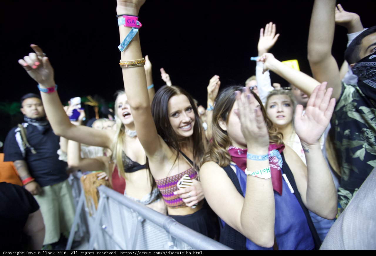 Coachella Crowd Goes Wild