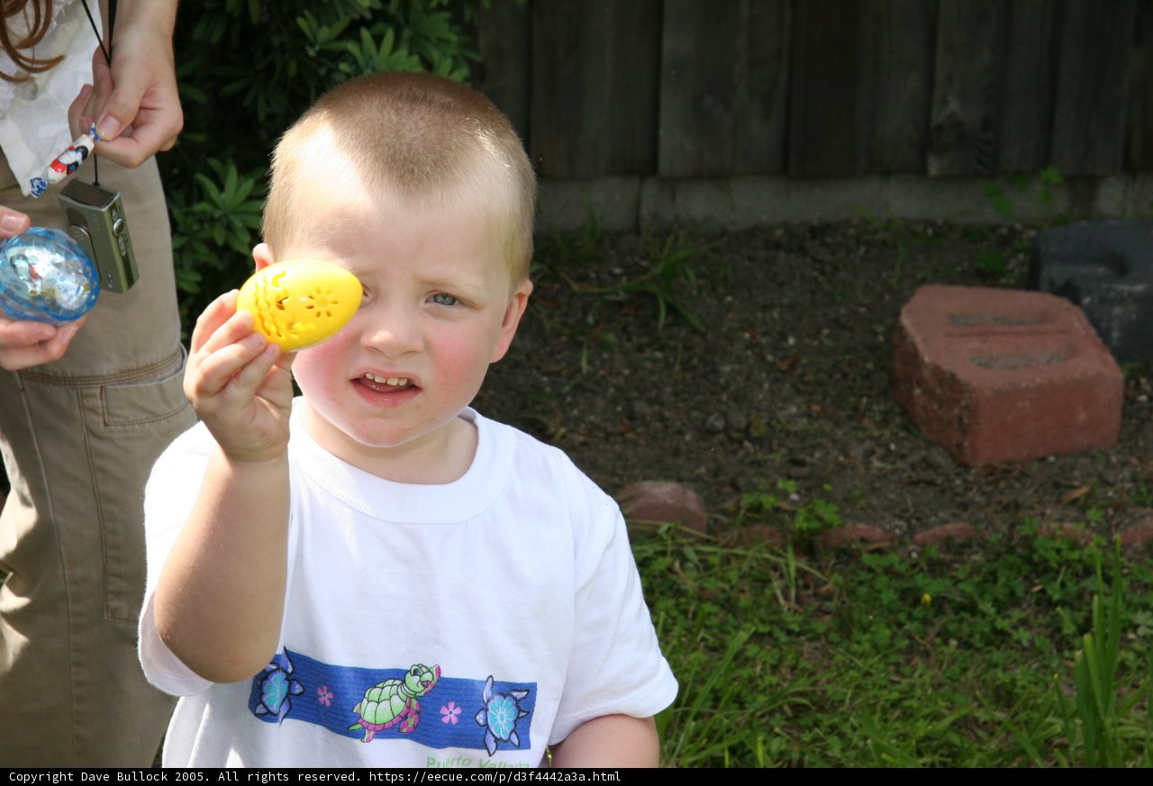 Little Boy's Sweet Ball Game on the Grass
