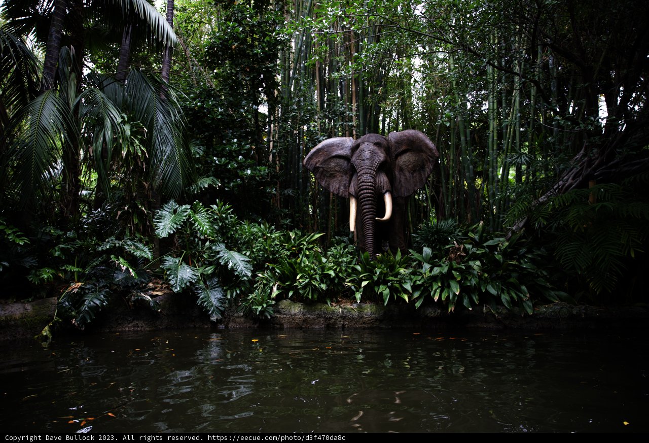 Enchanted Elephant of the Jungle