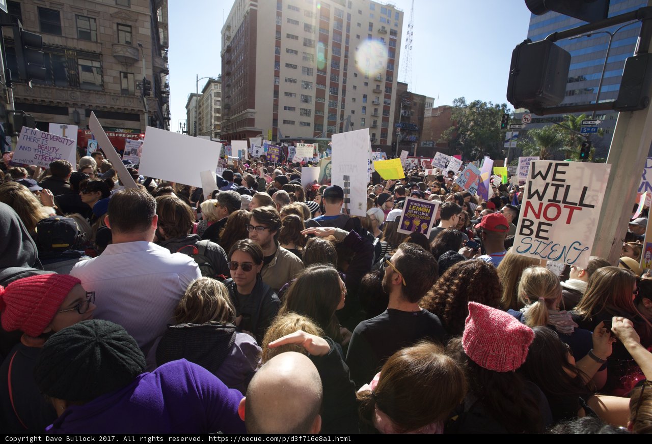 Women's March Crowd in Washington D.C.