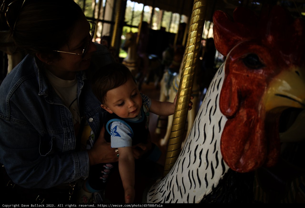 Carousel Cuddle: A Moment of Pure Joy