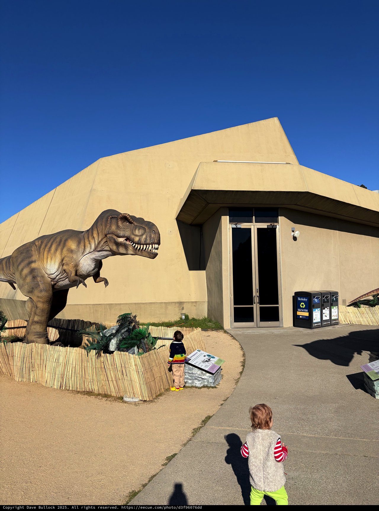 Children Observe Life-Size T-Rex at Natural History Museum