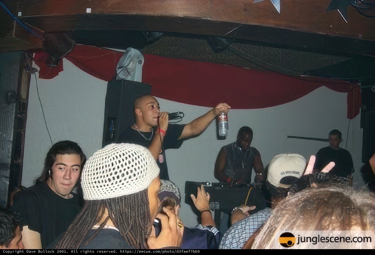 Party Time at the Night Club