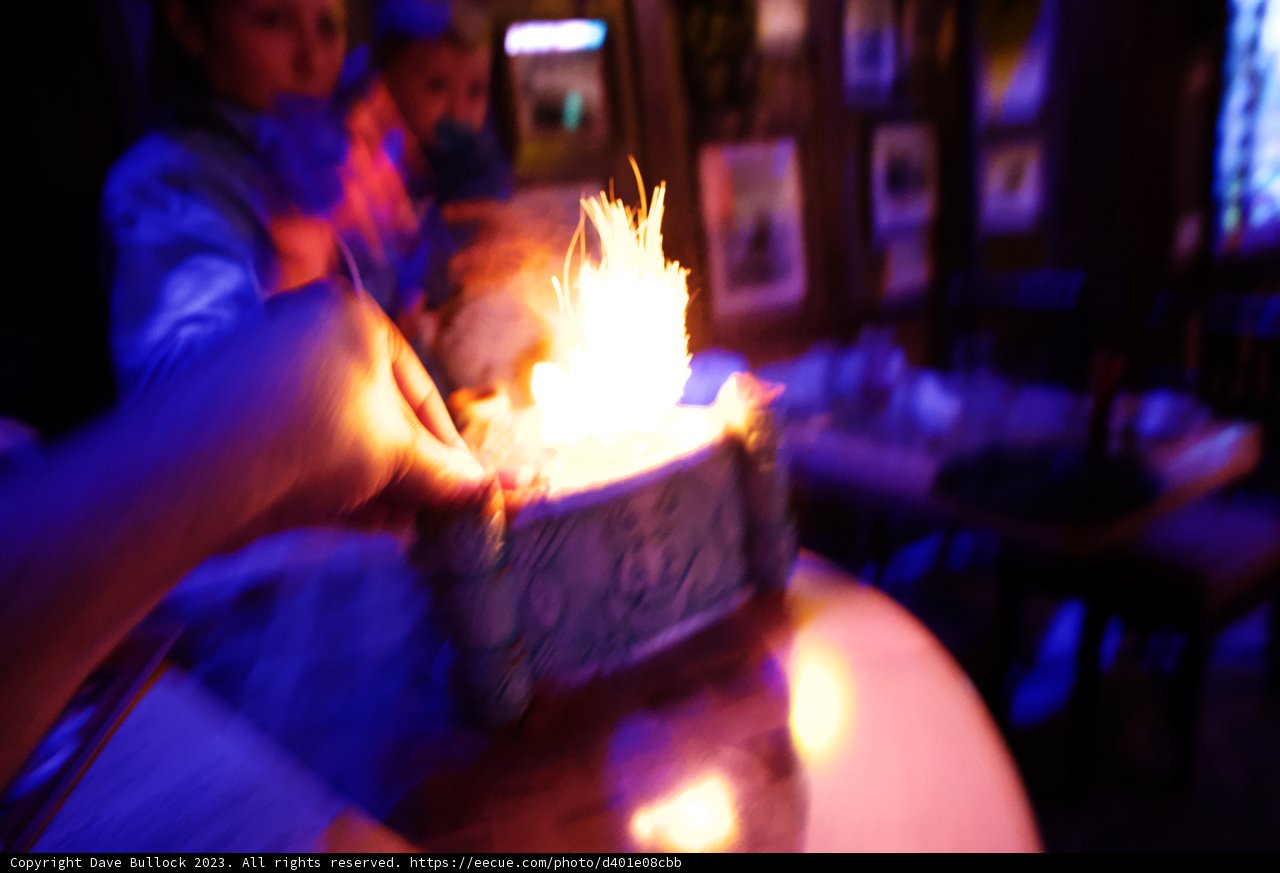 Magical Birthday Celebration at Disneyland