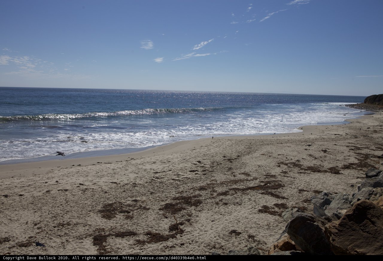Serene Shoreline