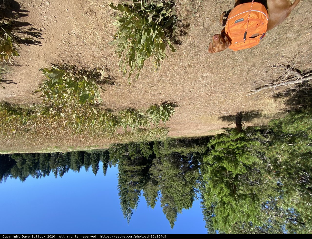 Alone in the Wilderness