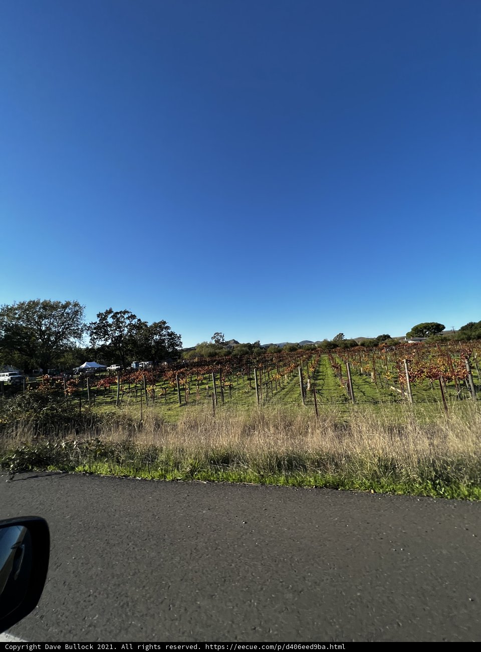 Cruising Through the Vineyards