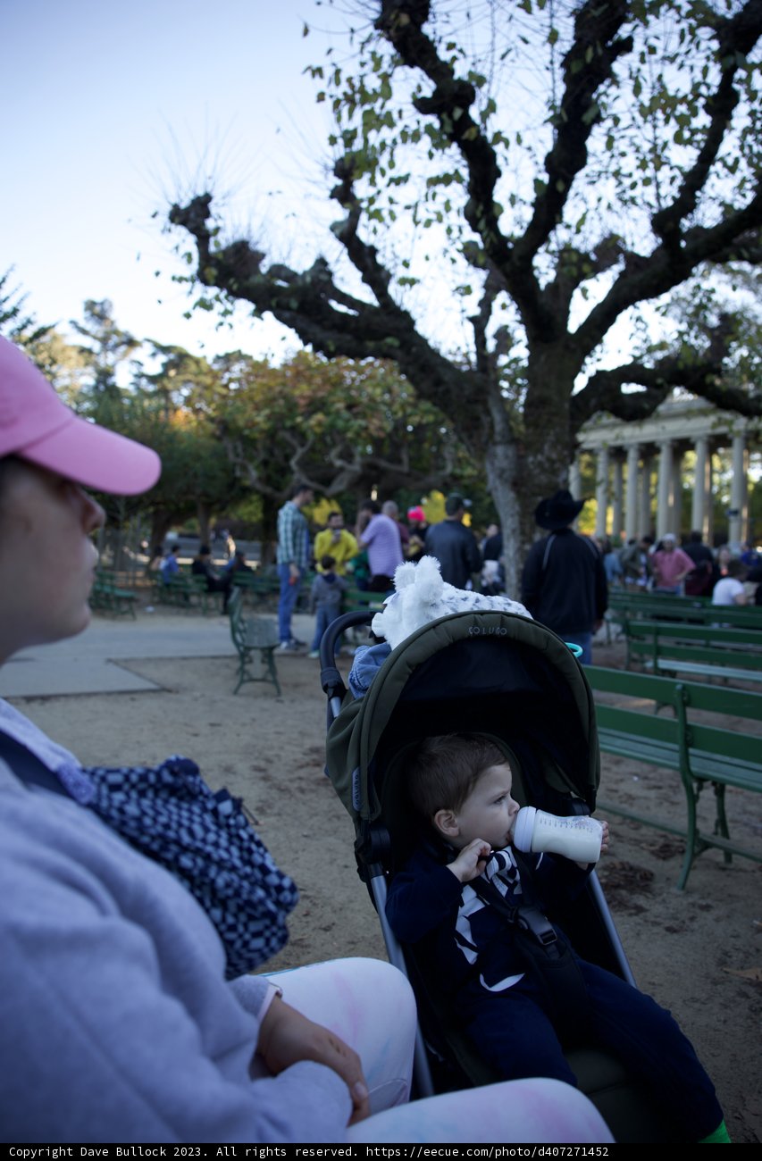 Serene Moments in the Park