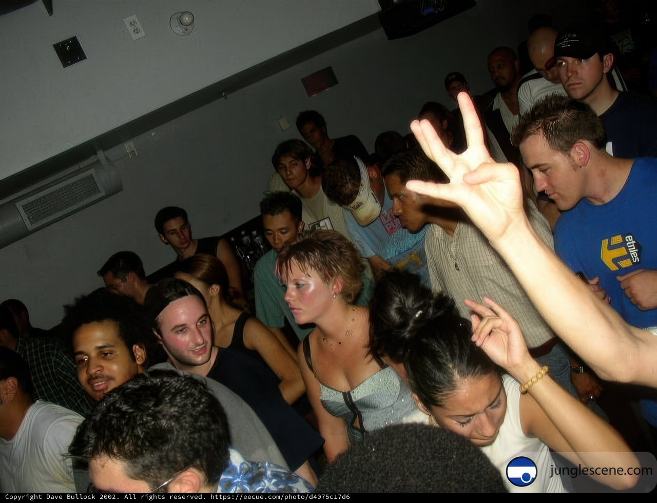 Party People with Hands Up