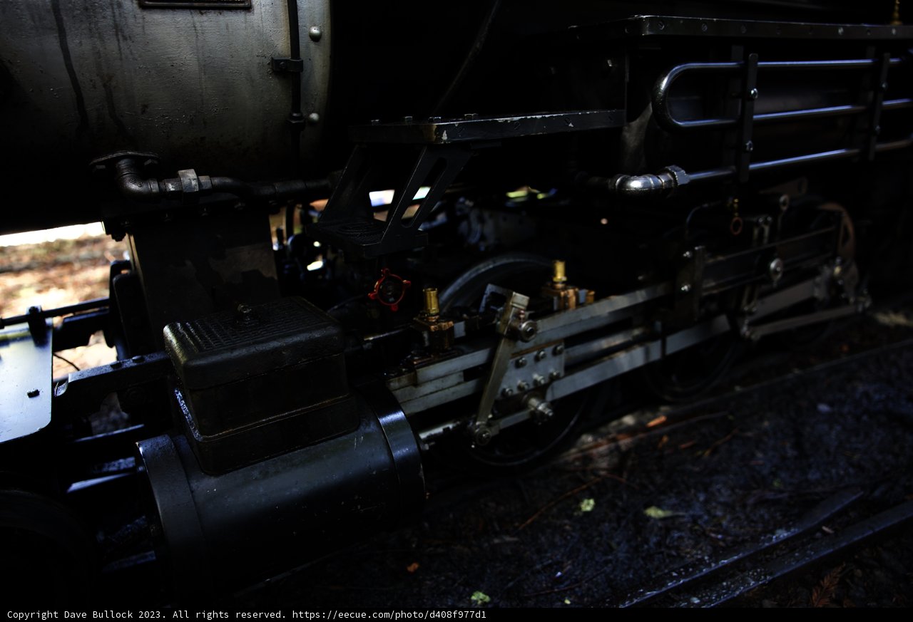 Intricate Train Engine at Tilden Park