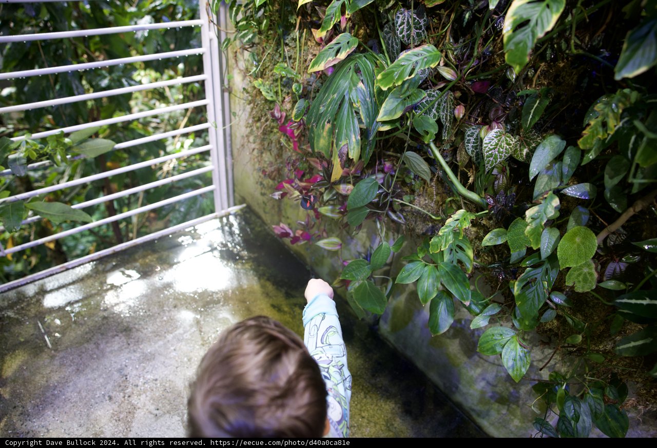 Exploring Nature's Wonders