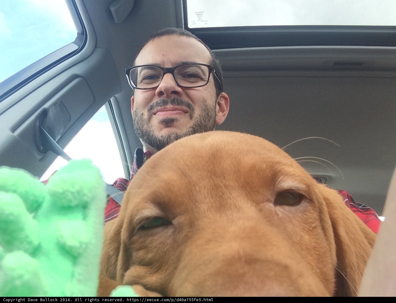 Cruising with My Best Furry Friend