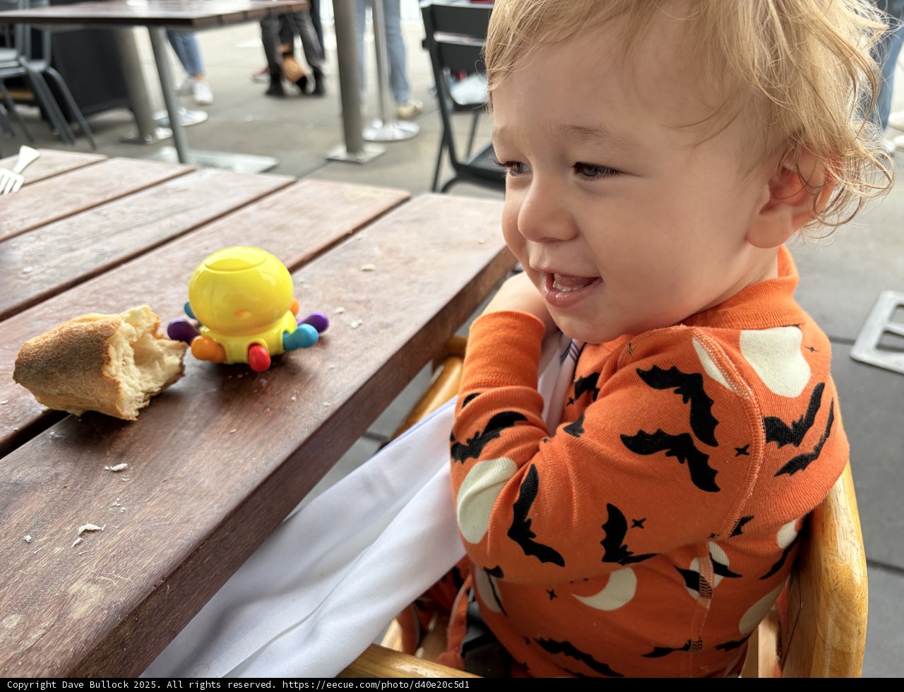 Little Bites of Joy