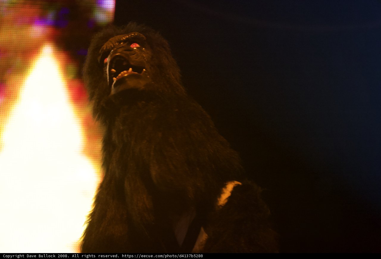 Gorilla in Flames