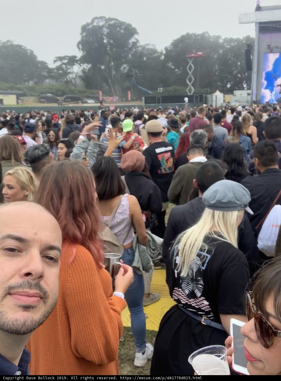 Music Festival Selfie Madness