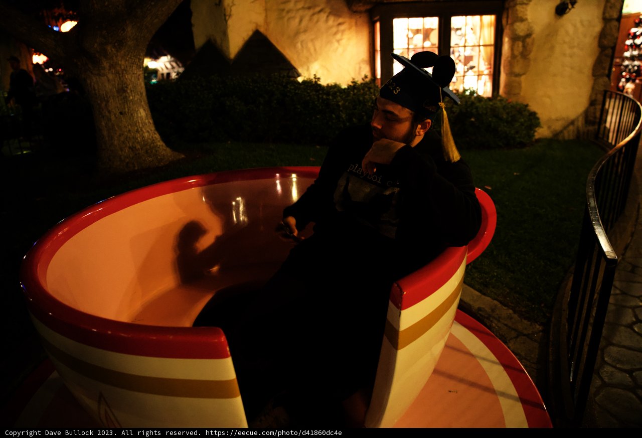 Unexpected Tea Party at Disneyland