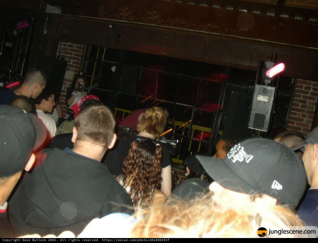 High Energy Concert Crowd