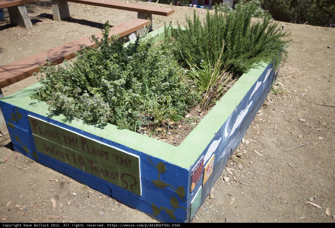 Garden Bench with Potted Plants