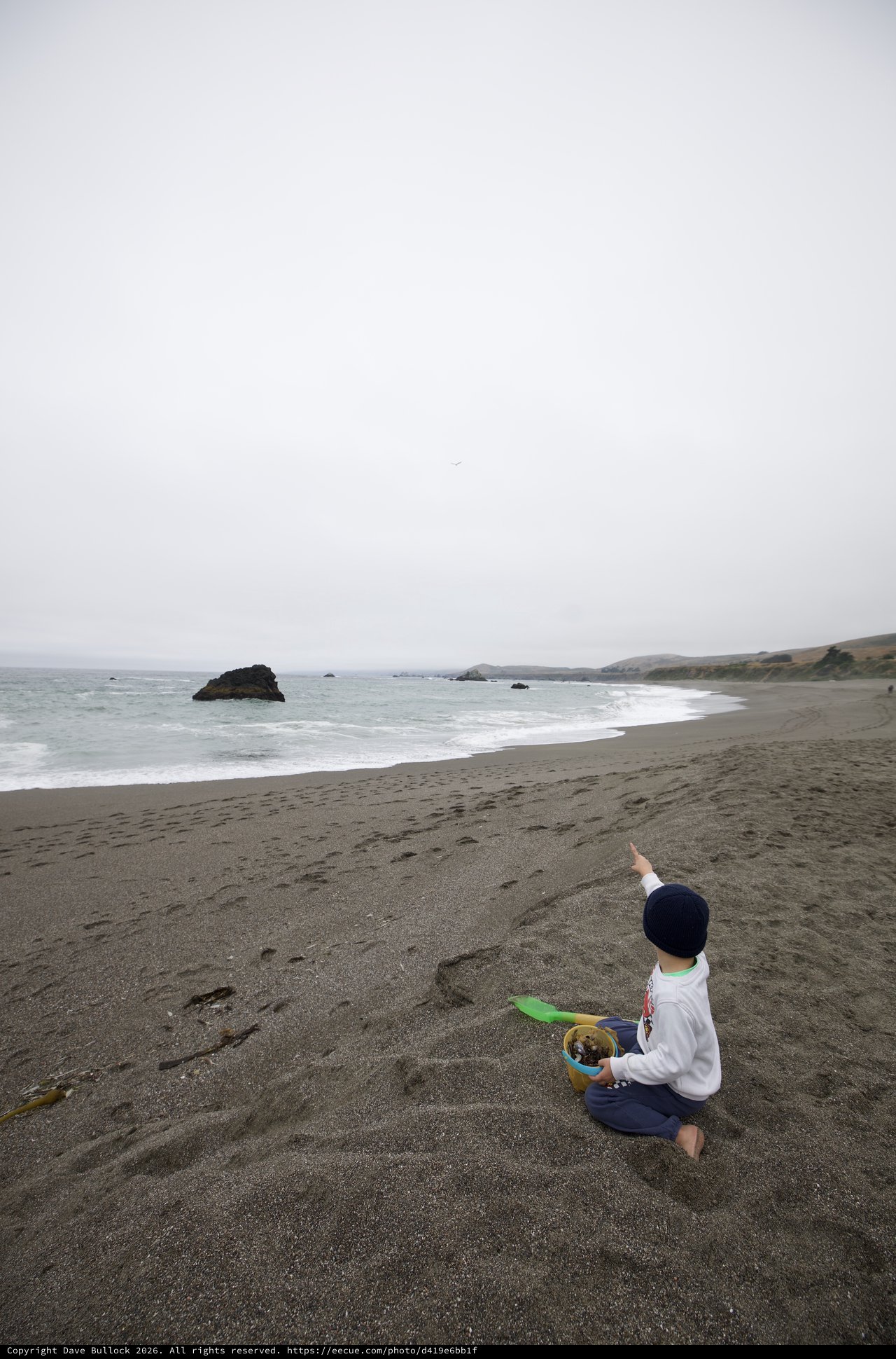 Child Points to the Horizon on a Foggy Coast