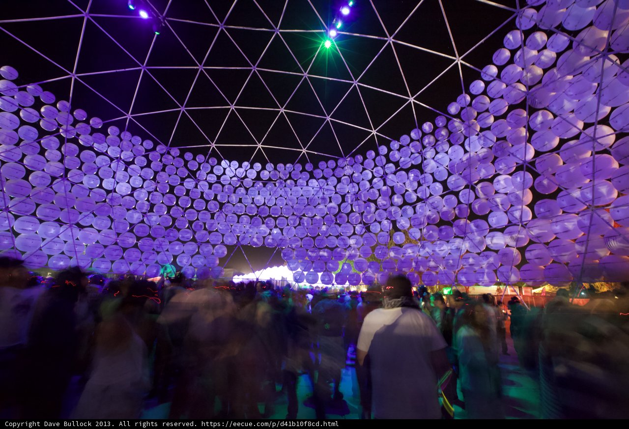 Nightlife in the Desert