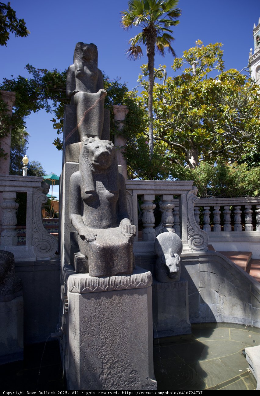 Majestic Guardians of Hearst Castle