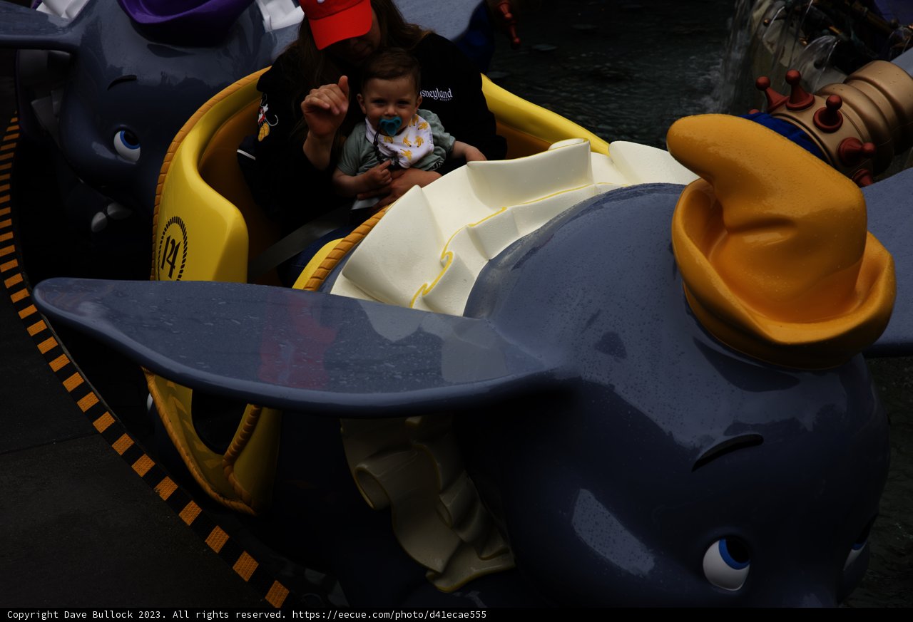Magical Elephant Adventure at Disneyland