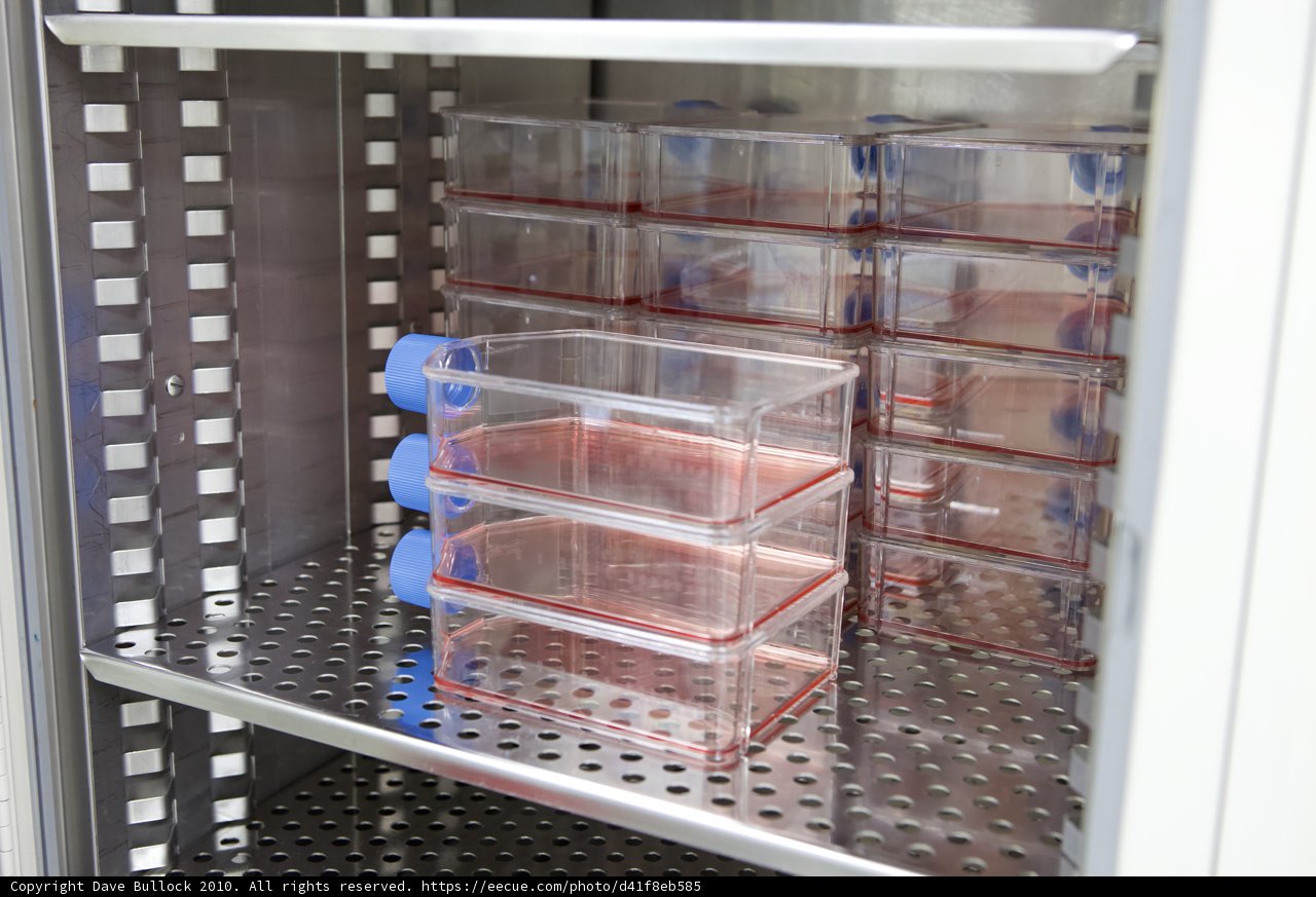 Storing Medications Safely