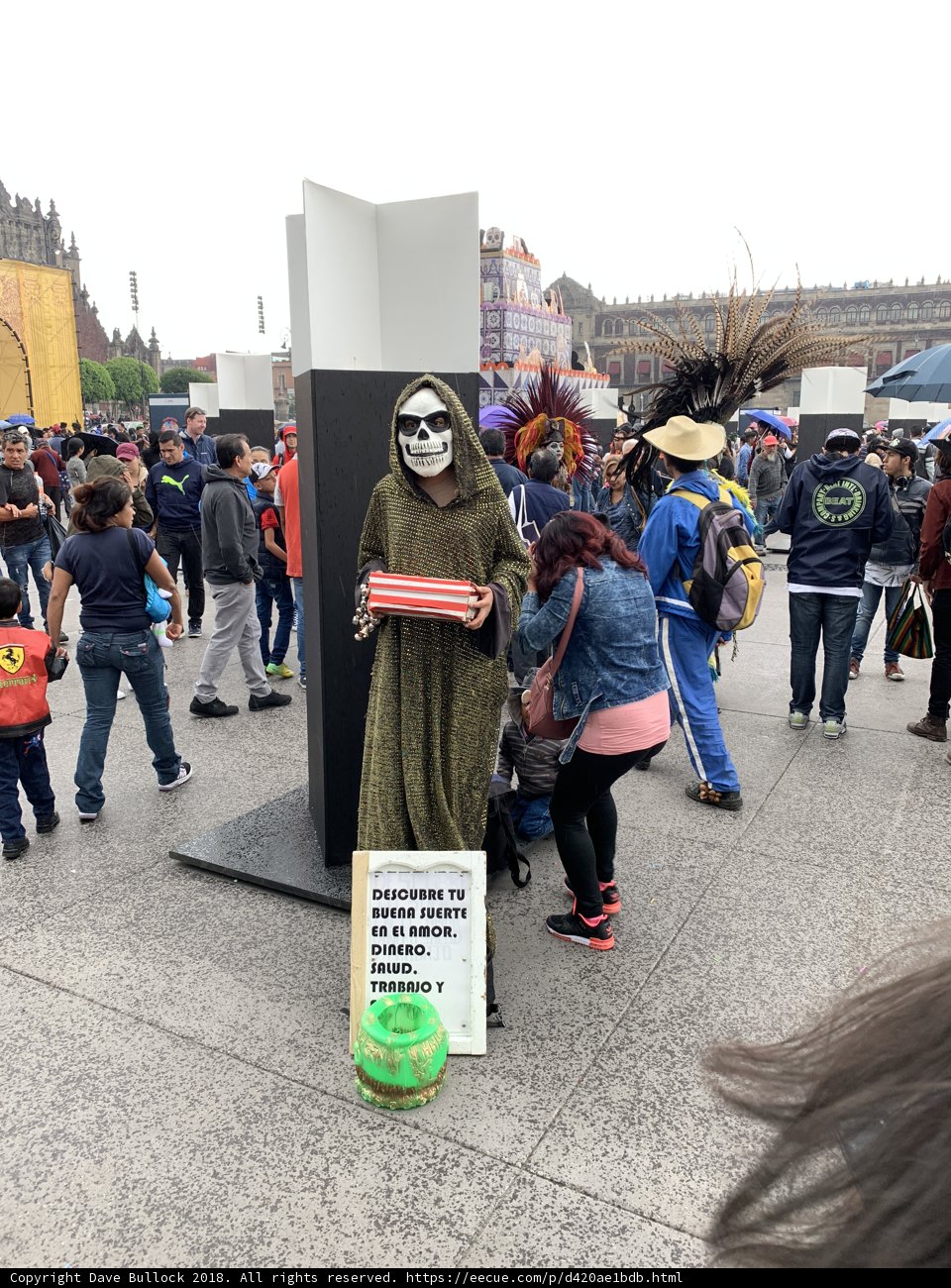 Skeleton Man Holds Protest Sign in Festival Crowd