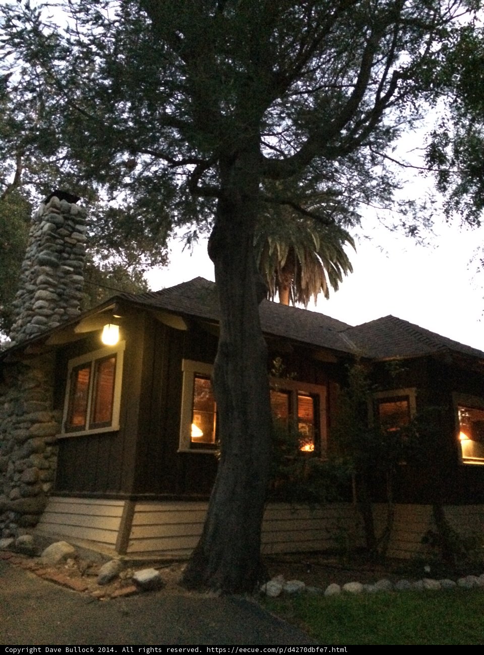 The Tree House Villa