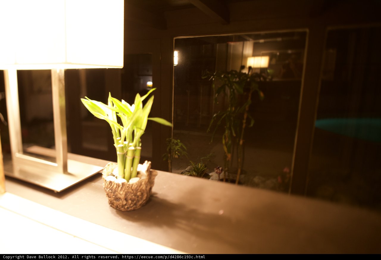 Elevated Ikebana