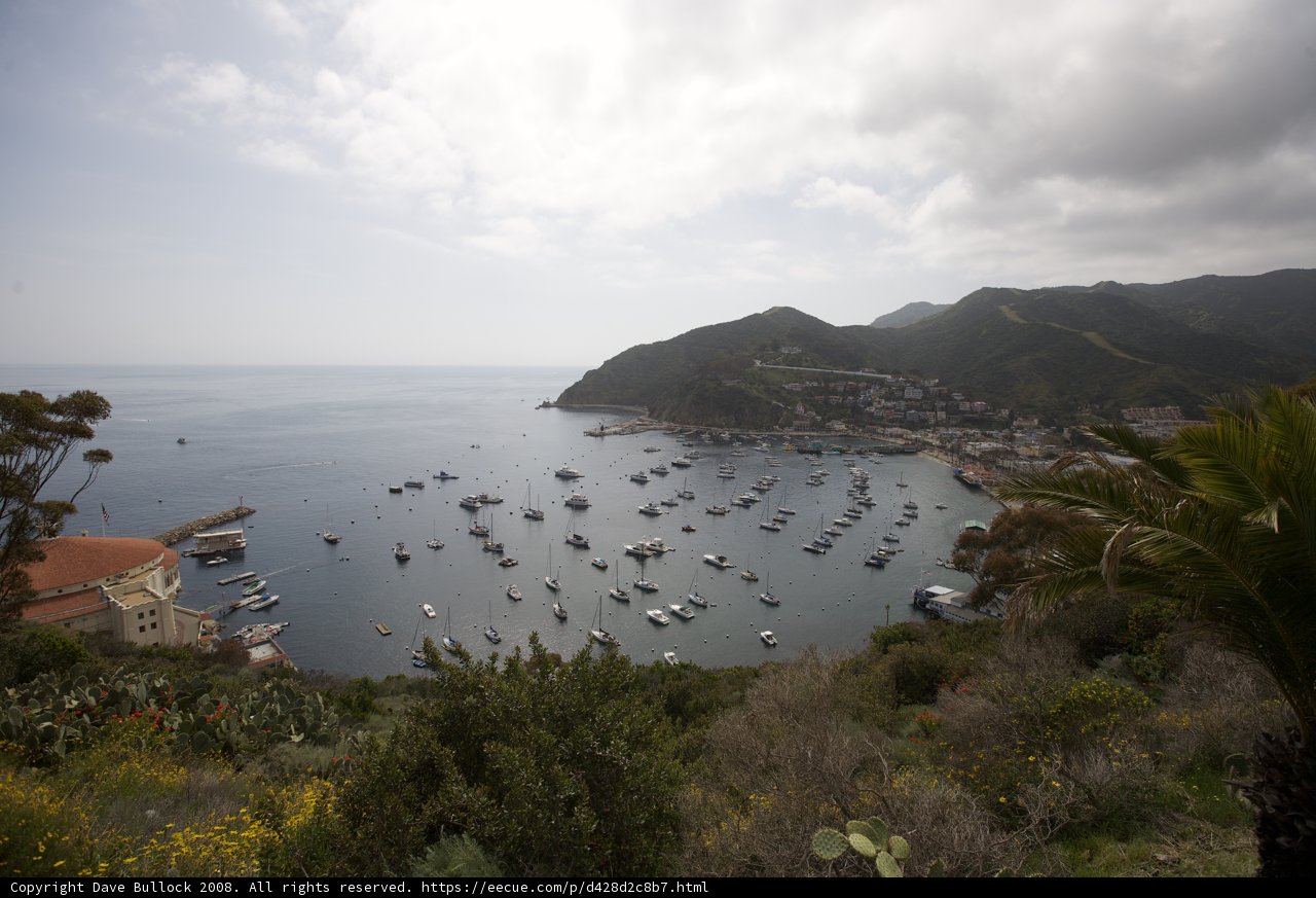 Boats at the Catalina Harbor