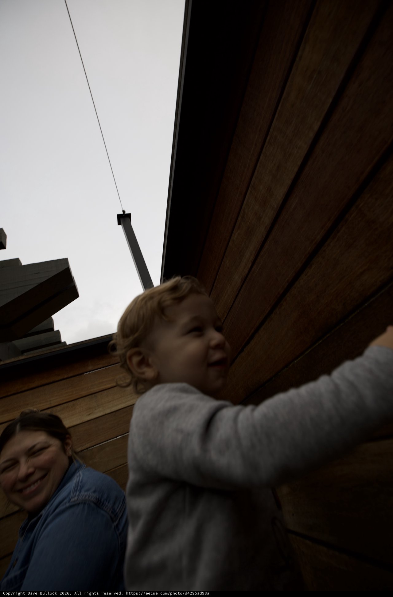 Playful Moment on Wooden Deck Under Overcast Sky