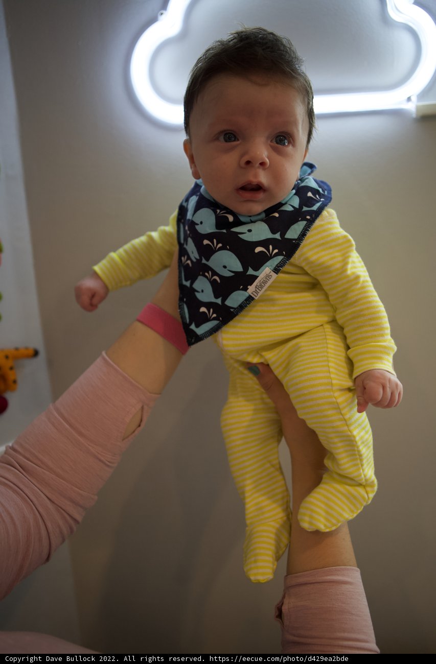 Embracing Parenthood